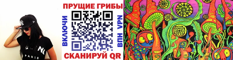 где купить   Облучье  Псилоцибиновые грибы ЛСД 